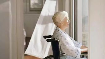 银发浪潮下的新锐力量 揭秘网红级养老服务产品的炼成之路